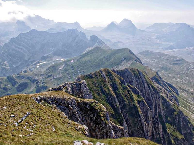 肿瘤早期筛查的重要性